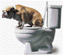UglyDogRacing's Avatar